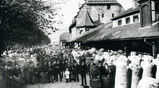 Hop market in Nuremberg, 1909