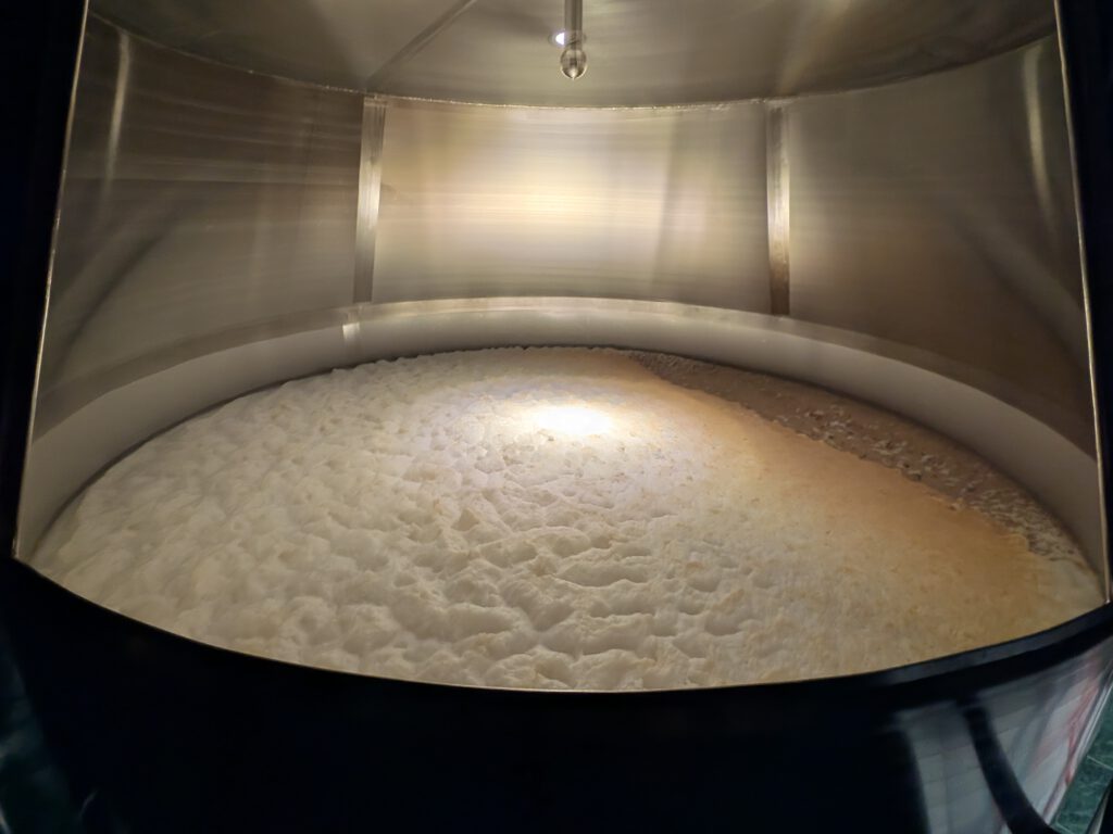 An open fermenter at Schönramer brewery with fermenting beer in it, with kräusen (white-ish foam) on top.
